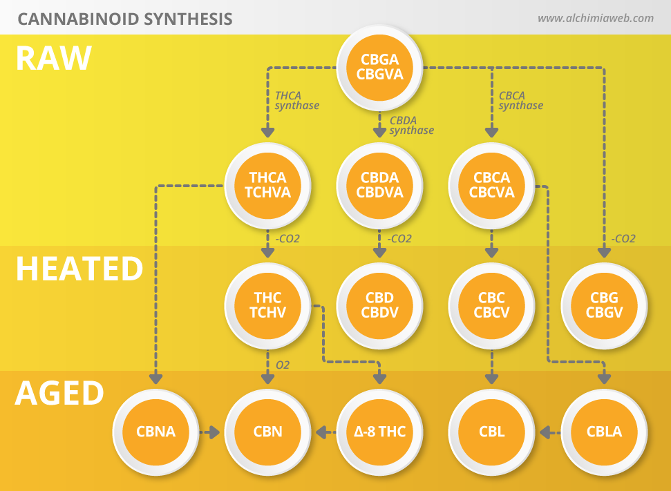 Cannabinoid Synthesis Cannabinoid Synthesis