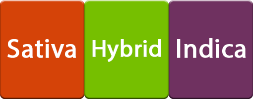 Sativa-hybrid-indica Grow Medical Marijuana