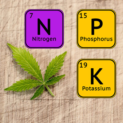 Macronutrients Medical Marijuana Macronutrients Medical Marijuana