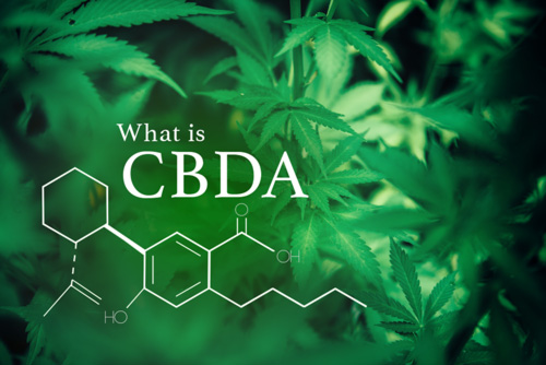 What is CBDA? Mother of all Cannabinoids | Arch Advanced Pain Management